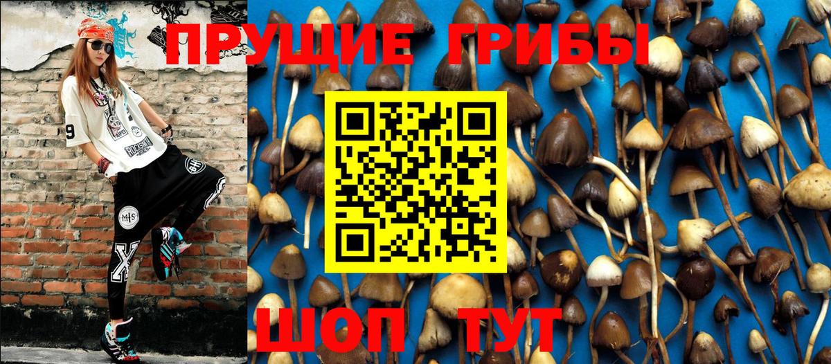 Галлюциногенные грибы мицелий  Вход с VPN  Дзержинский  Галлюциногенные грибы Magic Shrooms 